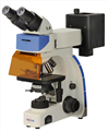 UY202i荧光显微镜